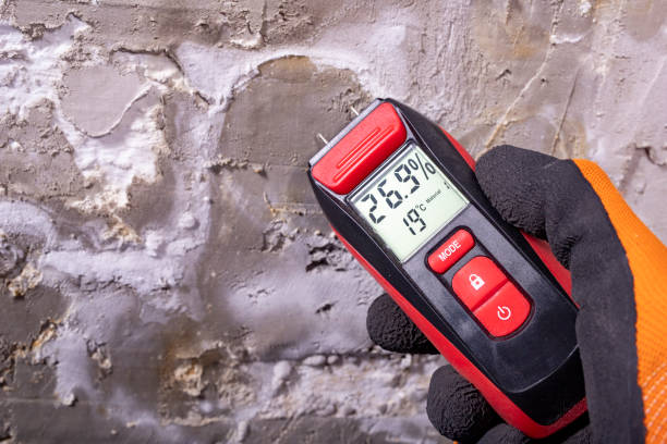 Best Emergency Mold Removal  in Mount Ivy, NY